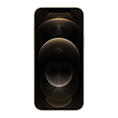 IPhone 12 Pro Max Restoration Services